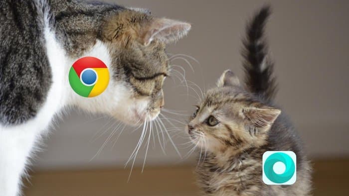 Mint Browser مقابل Chrome: هل يستحق دور البديل ؟ - %categories