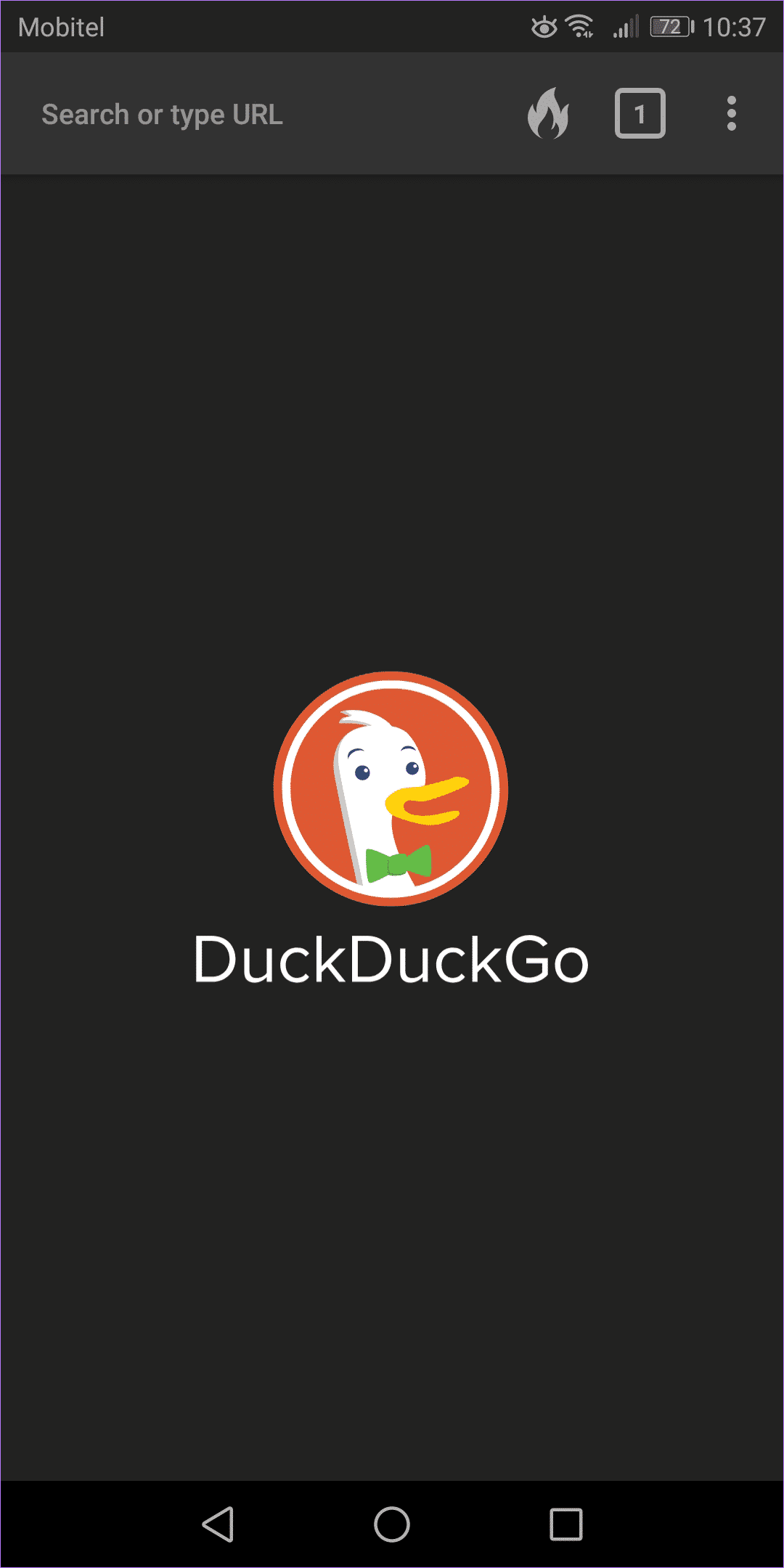 Duckduckgo privacy christmas paintings