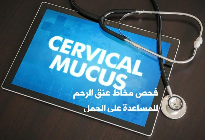 مخاط عنق الرحم للمساعدة على الحمل Can You Detect Early Pregnancy With the Help of Cervical Mucus - فحص مخاط عنق الرحم للمساعدة على الحمل