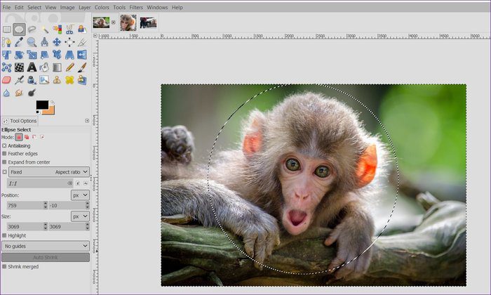 كيفية عمل الصور بشكل دائري على GIMP - %categories