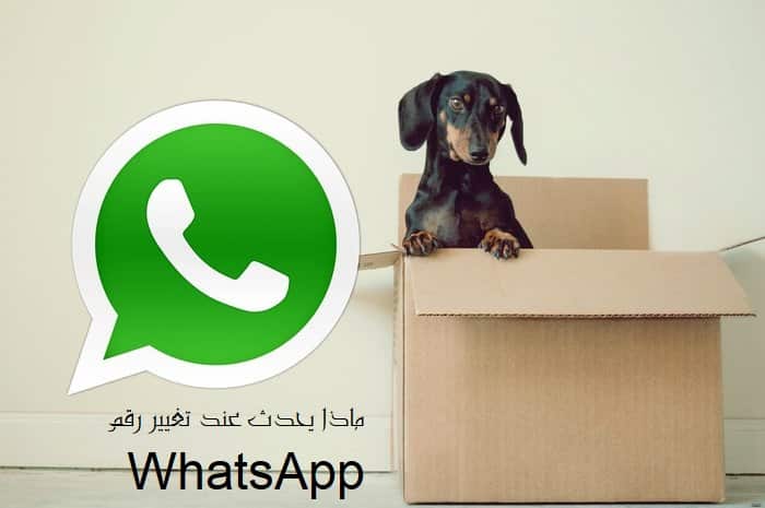 ماذا يحدث عند تغيير رقم WhatsApp - %categories