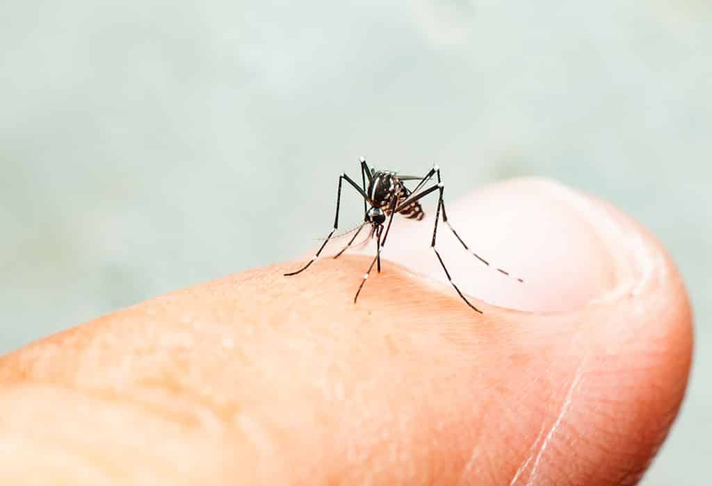 الملاريا عند الأطفال - الأسباب والأعراض والعلاج - %categories