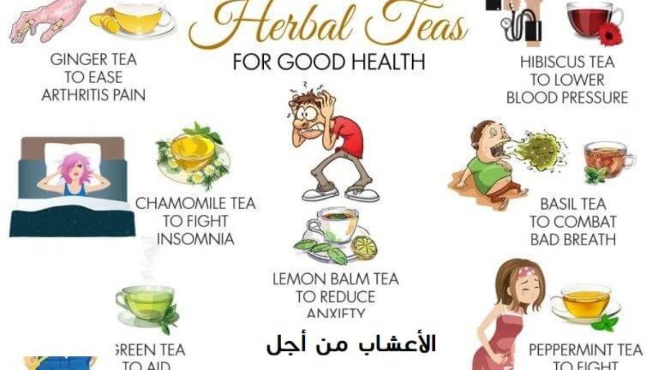 10 أنواع لشاي الأعشاب من أجل صحة جيدة أحلى هاوم