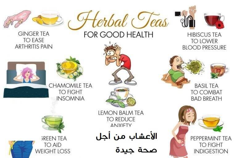 10 أنواع لشاي الأعشاب من أجل صحة جيدة - %categories