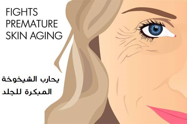 9 أسباب لتطبيق زيت الزيتون على الوجه والبشرة والشعر والأظافر - %categories
