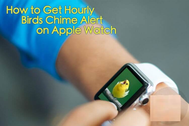 كيف تحصل على ساعة الطيور و رنين التنبيه على Apple Watch - %categories