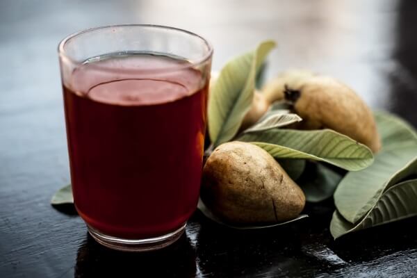 ما الذي يجعل فاكهة الجوافة صحية للغاية وكيفية جني فوائدها - %categories
