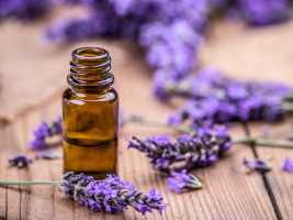 زيت اللافندر للشعر أفضل الفوائد وكيفية استخدامه أحلى هاوم