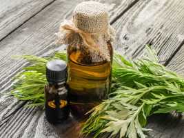 13 alternatives à l'huile essentielle de pensée bleue - organicfacts Huile essentielle d'armoise - 13 alternatives à l'huile essentielle de pensée bleue