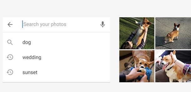 google-photos 14 من أفضل تطبيقات عرض الصور Windows 10 للحصول على أداء أكثر سلاسة
