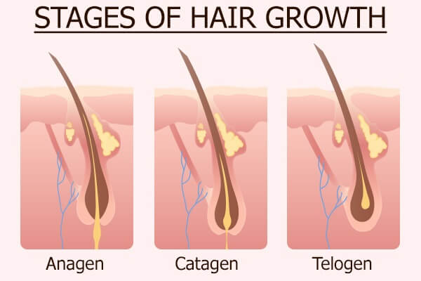 ما مدى سرعة نمو الشعر؟ نصائح والعلاجات المنزلية لنمو الشعر الطويل - %categories