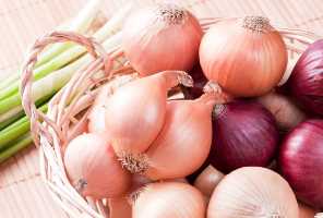 البصل: التغذية والفوائد الصحية والحساسية والوصفات - organicfacts oniبons feat - البصل: التغذية والفوائد الصحية والحساسية والوصفات