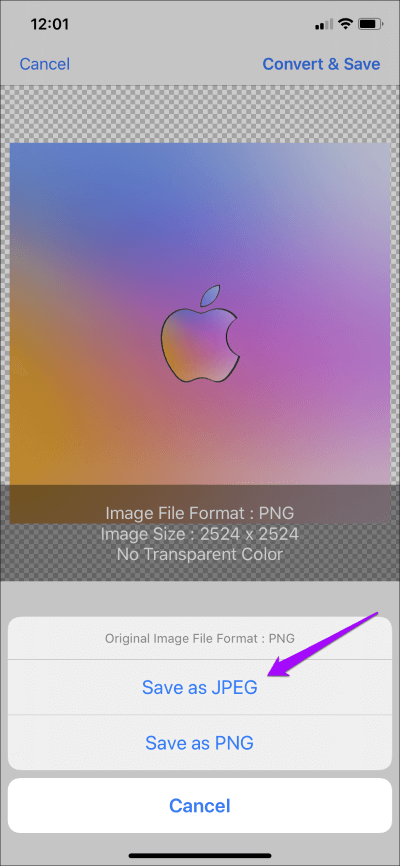 Convert-PNG-to-JPG-Iphone-Ipad-32_4d470f76dc99e18ad75087b1b8410ea9 أفضل 4 طرق لتحويل PNG إلى JPG على iPhone و iPad