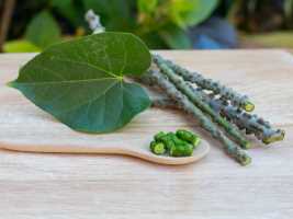 أحسن 4 فوائد صحية مدعومة بالعلم لـ جيلوي - organicfacts giloyoلne - أحسن 4 فوائد صحية مدعومة بالعلم لـ جيلوي