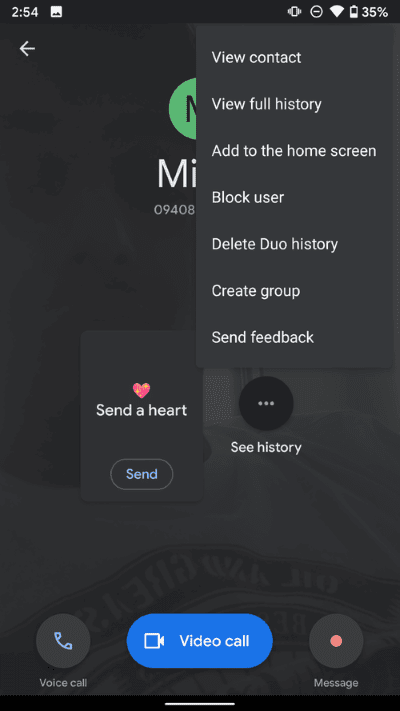 google-duo-calling-geatures_40dd5eab97016030a3870d712fd9ef0f Skype مقابل Google Duo: أي تطبيق مكالمات فيديو أفضل على Android