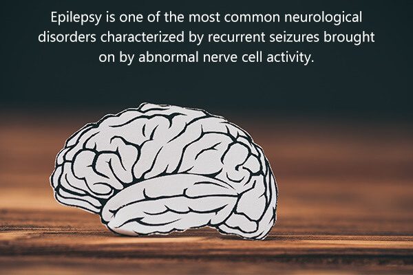 هل زيت الكانابيديول CBD آمن وفعال لإدارة مرض التوحد؟ - nervous-system link between epilepsy and autism - هل زيت الكانابيديول CBD آمن وفعال لإدارة مرض التوحد؟