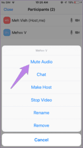 how to mute zoom meeting