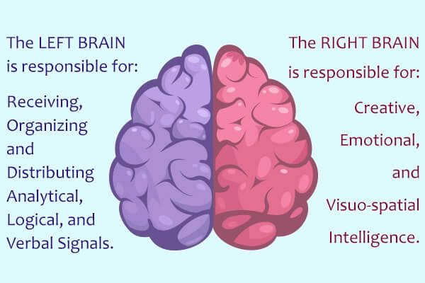 الفرق بين إصابات الدماغ - الفص الأيمن والأيسر - %categories