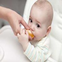 Citron Peut Il Etre Donne Aux Nourrissons Des Avantages Et Des Inconvenients Pour Le Bebe La Maison La Plus Douce