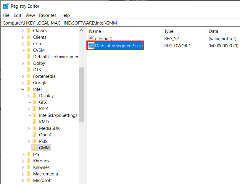 Rename-the-DWORD-you-just-created-to-DedicatedSegmentSize 3 طرق لزيادة VRAM المخصص في Windows 10