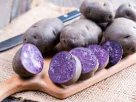 Vitilot Schwarze Kartoffel: Ernährung, Nutzen und Verwendung - gesunde Ernährung vitelottepotpato - schwarze Vitelotte-Kartoffel: Ernährung, Nutzen und Verwendung