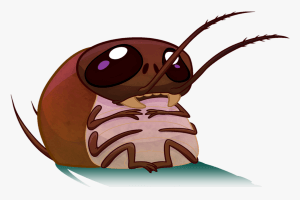 131 1316505 funny roach cartoon roach hd png download 1 1 - الصراصير , طرق التخلص منها بشكل طبيعي وسريع وبمكونات بسيطة