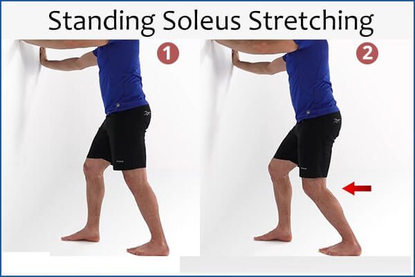 تمارين منزلية لتقوية عضلات القدم - bones-joints 2 standing soleus stretching - تمارين منزلية لتقوية عضلات القدم