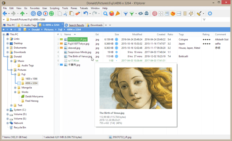 XYplorer-768x467-1 أفضل 8 برامج مجانية لإدارة الملفات لنظام التشغيل Windows 10