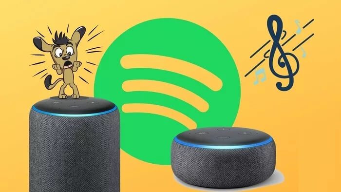 أفضل 13 طريقة لإصلاح Amazon Echo لا يشغل الموسيقى من Spotify - %categories