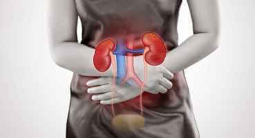 مرض الكلى والعادات التي يمكن أن تضر الكلى - urinary-tract-health habits that cang damage your kidneys feat - مرض الكلى والعادات التي يمكن أن تضر الكلى