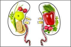 10 أطعمة تحسن وظائف الكلى - digestive-health kidney health pitches يfeat - 10 أطعمة تحسن وظائف الكلى