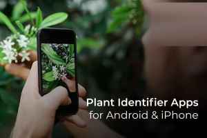 10 Meilleures Applications De Reconnaissance Des Plantes Pour Android Et Iphone Sweetest Haum