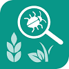 Agrobase أفضل 10 تطبيقات للتعرف على النباتات على Android و iPhone
