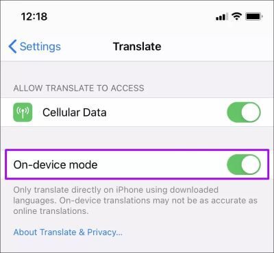 9 نصائح وحيل أساسية لـ Apple Trans­late لمستخدمي iPhone - %categories