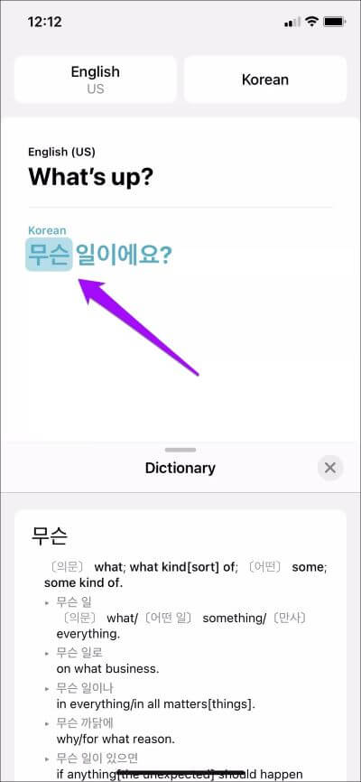 Apple-Translate-Tips-Tricks-5_4d470f76dc99e18ad75087b1b8410ea9 9 نصائح وحيل أساسية لـ Apple Trans­late لمستخدمي iPhone