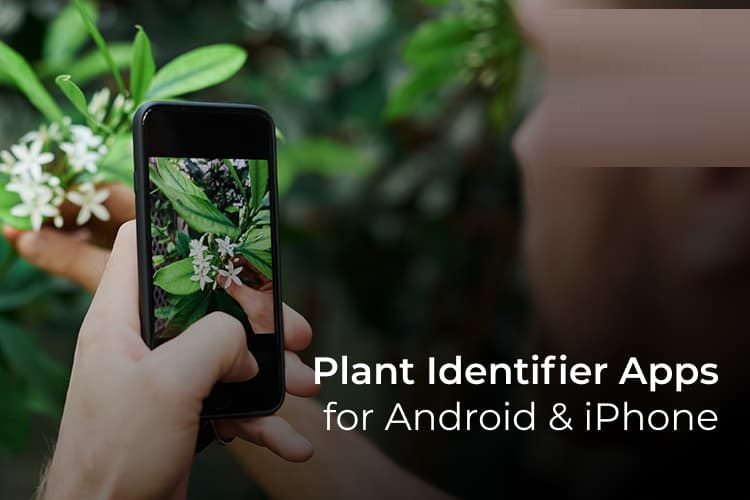 أفضل 10 تطبيقات للتعرف على النباتات على Android و iPhone - %categories