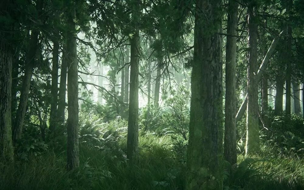 Top-Best-The-Last-of-Us-2-Wallpapers-in-HD-and-4K-1_4d470f76dc99e18ad75087b1b8410ea9 أفضل 9 خلفيات في The Last of Us 2 بدقة HD و 4 K