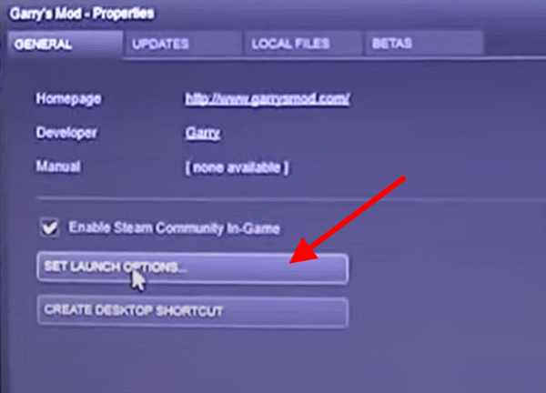 set_launch_options كيفية إصلاح مشكلة تقطيع الشاشة في نظام التشغيل Windows 10