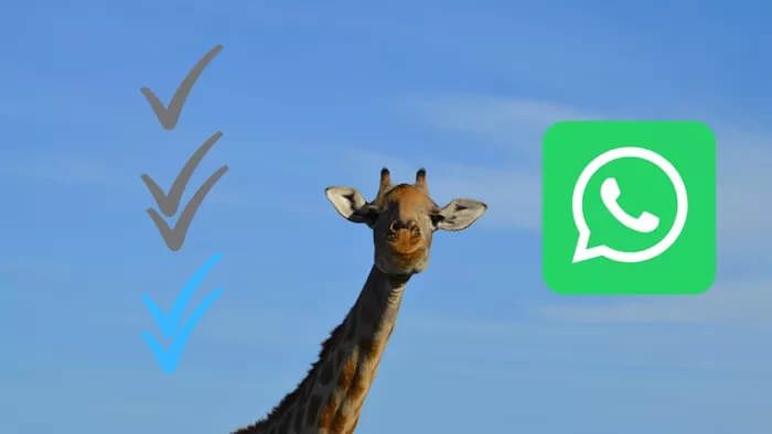 what-are-read-receipts-in-whatsapp_10b297455fc630878dfdea12e66aedfd_935adec67b324b146ff212ec4c69054f ما هي إيصالات القراءة في WhatsApp وهل يجب عليك إيقاف تشغيلها