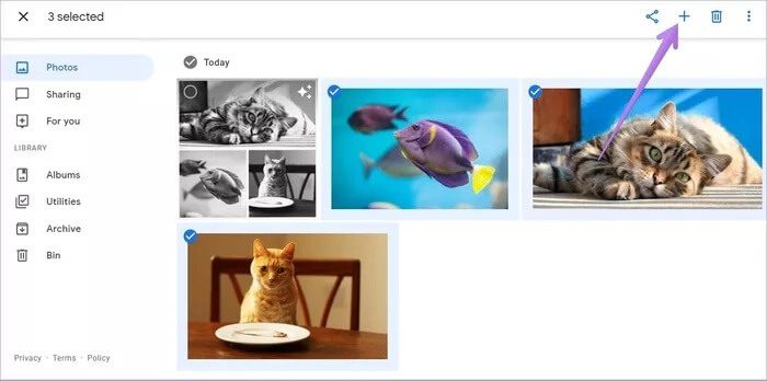 دليل لعمل صور مجمعة في Google Photos على الهاتف المحمول وسطح المكتب - %categories