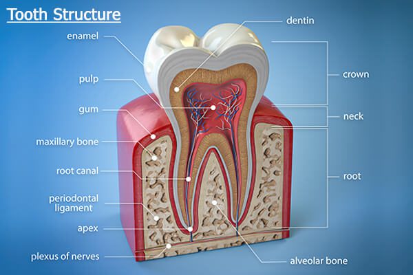 البقع البيضاء على الأسنان: الأنواع والأسباب وخيارات العلاج - %categories