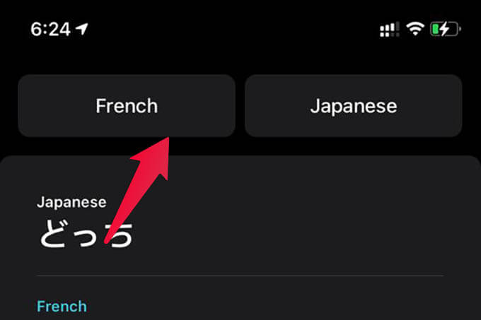 Select-Language-on-iPhone-Translate-App كيفية ترجمة المحادثات باستخدام تطبيق الترجمة على iPhone