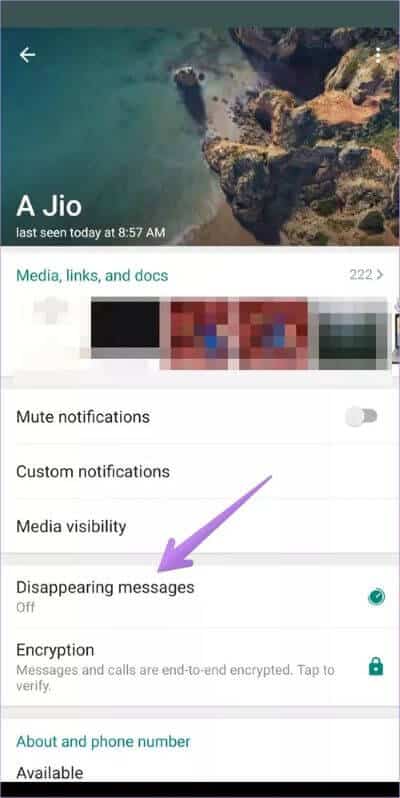 ما هو المقصود بـ الرسائل ذاتية الاختفاء تم إيقاف تشغيلها في WhatsApp - %categories