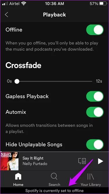 Listen-to-Spotify-Offline-on-Mobile-and-Windows-9_935adec67b324b146ff212ec4c69054f كيفية الاستماع إلى Spotify في وضع عدم الاتصال على الهاتف المحمول و Windows 10