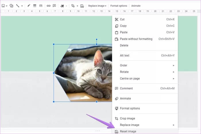 كيفية احتواء صورة في الشكل على Google Slides على الهاتف المحمول والكمبيوتر الشخصي - %categories