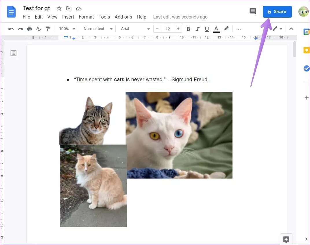 كيفية منح وإلغاء إذن تحرير مستند Google Docs على الهاتف المحمول والويب - %categories