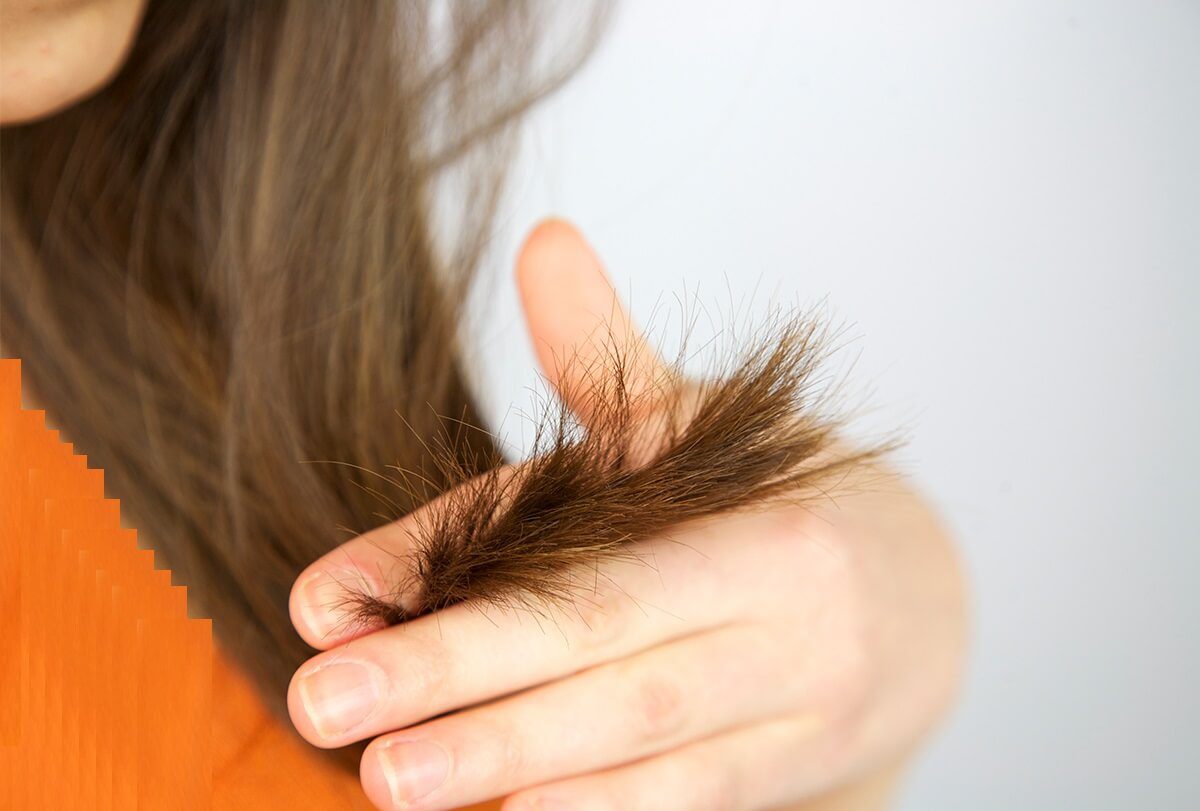 تقصف الشعر : الأنواع والأسباب والعلاجات - %categories