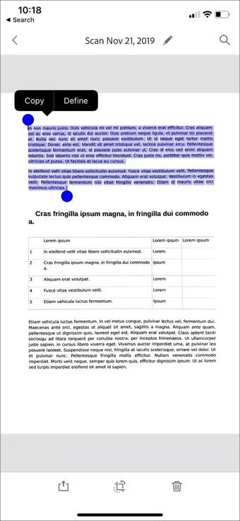 search-text_7c4a12eb7455b3a1ce1ef1cadcf29289 Adobe Scan مقابل Genius Scan: ما هو تطبيق Document Scanner الأفضل على iPhone