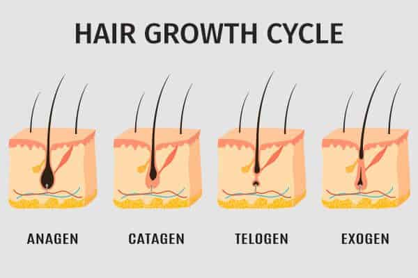 هل يسبب ديهدروتستوستيرون DHT تساقط الشعر وطرق التعامل معه - %categories