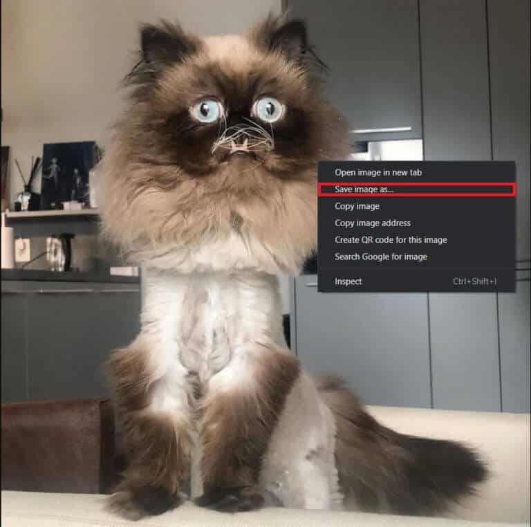 Right-click-on-the-image-and-select-‘Save-as-to-download-the-image-768x762-1 كيفية عرض صور Instagram بالحجم الكامل
